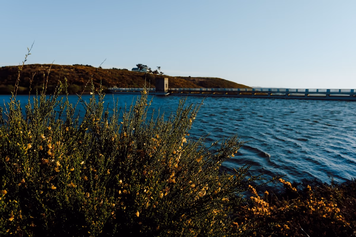 Serene Pavana Dam lake surrounded by green hills