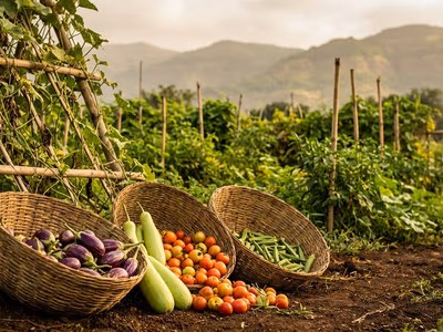 Freshly harvested vegetables in wicker tokri baskets at The Glen Woods farm
